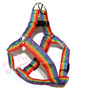 rainbow pet harness