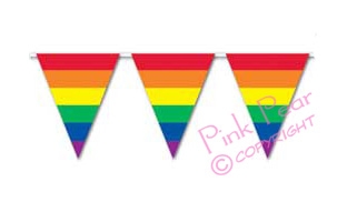 rainbow pennant banner