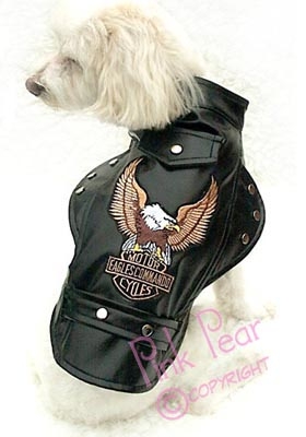 doggie motorcycle jacket