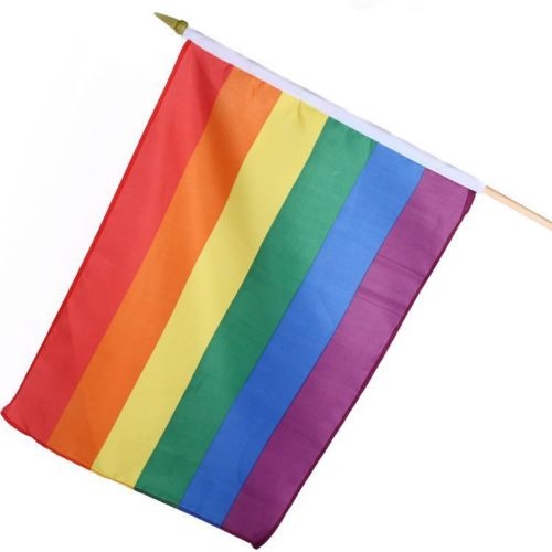large rainbow flag on wooden stick (12x18