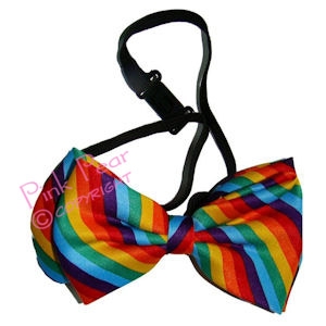 gay pride bow tie