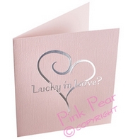 lottery ticket envelope (10 pack)
