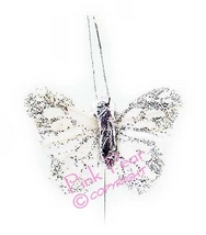 feather glitter butterfly - silver
