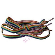 rainbow pride shoelaces