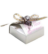 curvy wurvy box - shiny silver