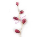 jewel spray - claret with gold