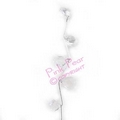 jewel spray - clear with silver