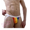gay pride rainbow thong