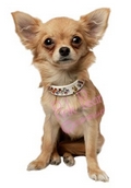 crystal doggie collar