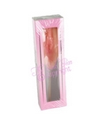 pussy lollipop