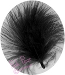 feathers - black