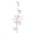 jewel spray - clear with silver