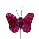 feather glitter butterfly - claret