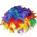 rainbow feather wig