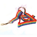 rainbow dog lead