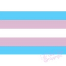 transgender fridge magnet