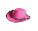 pink felt cowboy hat