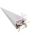 cone box - shiny silver