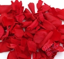 rose petals - red