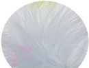 feathers - white