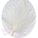 feathers - ivory