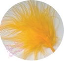 feathers - gold