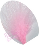feathers - pink