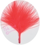 feathers - red